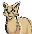 Fallowfern in SkyClan and the Stranger