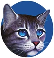 Jayfeather.PO3-4.png (1.03 MB) Jayfeather on the cover of Eclipse