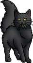 Kestrelwing.mc.alt.png (11 KB) Alternative Medicine Cat Version