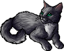 StarClan Version