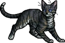 Feathertail.apprentice.alt2.png (25 KB) Alternative Apprentice Version