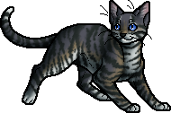 The Official Feathertail-Copyrighted Encyclopedia For Warrior Cats