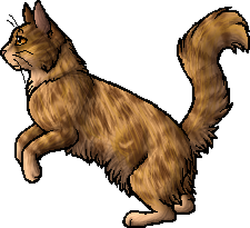 fluffy warriors wiki characters scare me : r/WarriorCats