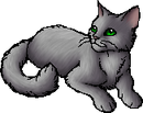 StarClan Version