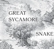 The Great Sycamore on the reprinted map
