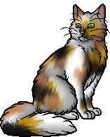 Warrior Cats^~, Wiki