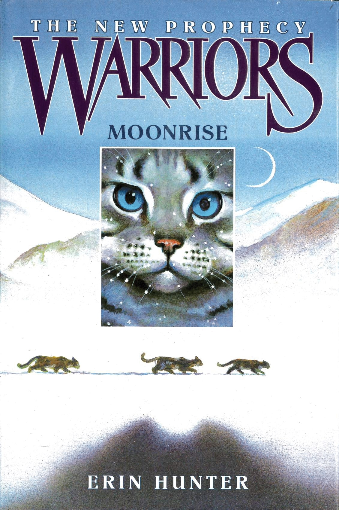 Warriors: The Ultimate Guide: Updated and Expanded Edition: A Collectible  Gift for Warriors Fans by Erin Hunter, Hardcover