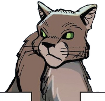 warrior cat designs — Boulder Elder of ShadowClan “That's right