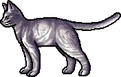 Whorlpelt, Warriors Wiki