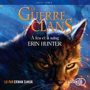 French Audiobook Released in France