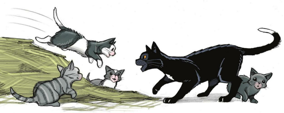 Warriors: Ravenpaw's Path