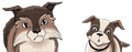 Dog in Graystripe's Adventure