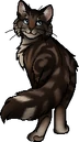 Pebble Lunge.wcancestor.png (31 KB) Wildcat Ancestor Version