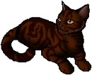 Redscar.star.png (14 KB) StarClan Version