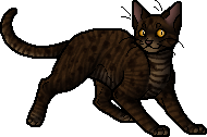 Mudclaw (WC), Warriors Wiki, Fandom