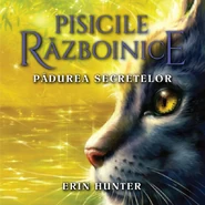 OS-3-RO-A.jpg (74 KB) Romanian Audiobook Released in Romania