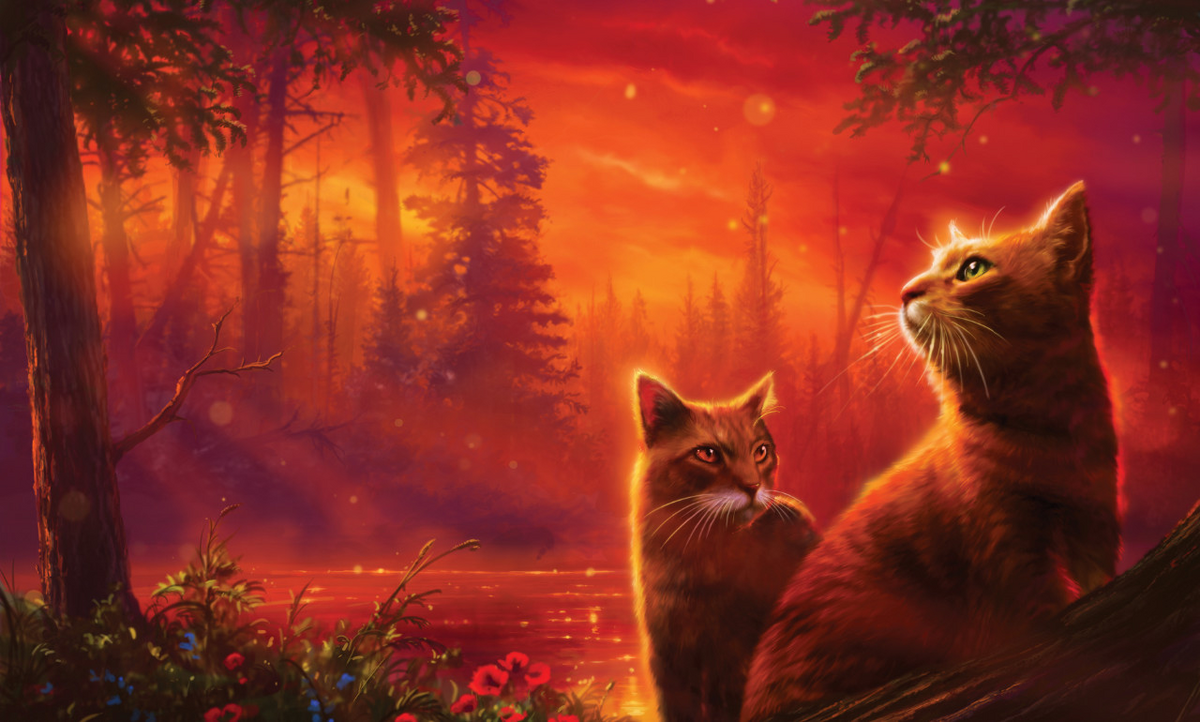 Warrior Cats of the Forest