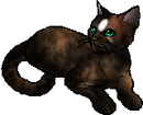 StarClan Version