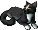Quick Water.star.png (22 KB) StarClan Version