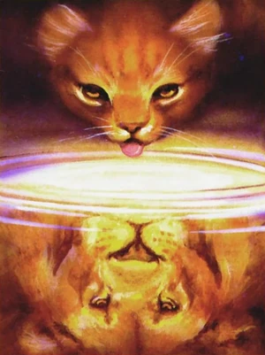 Firestar led LionClan into battle, using guidance from his ancestors to defeat Scourge.