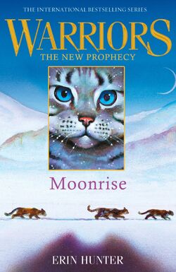 Midnight by Erin Hunter, Paperback