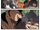 Tigerclaw's betrayal