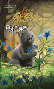 Traditional Chinese Language Edition Released in Taiwan