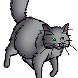 The guardian cats, Warriors Wiki