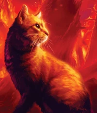 Thunderstar.DTC-2-RR