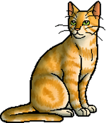 Squirrelflight, Warriors Wiki, FANDOM powered by Wikia