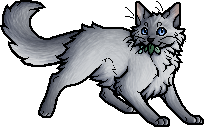 Alle WarriorCats- Clanzeichen auf einmal?  Warrior cats, Warrior cats clans,  Warrior cat