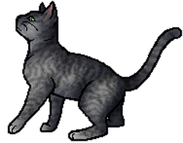 Gray warrior cats hotsell