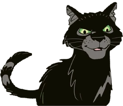 Nightpelt is an exiled warrior who led the exiled elders