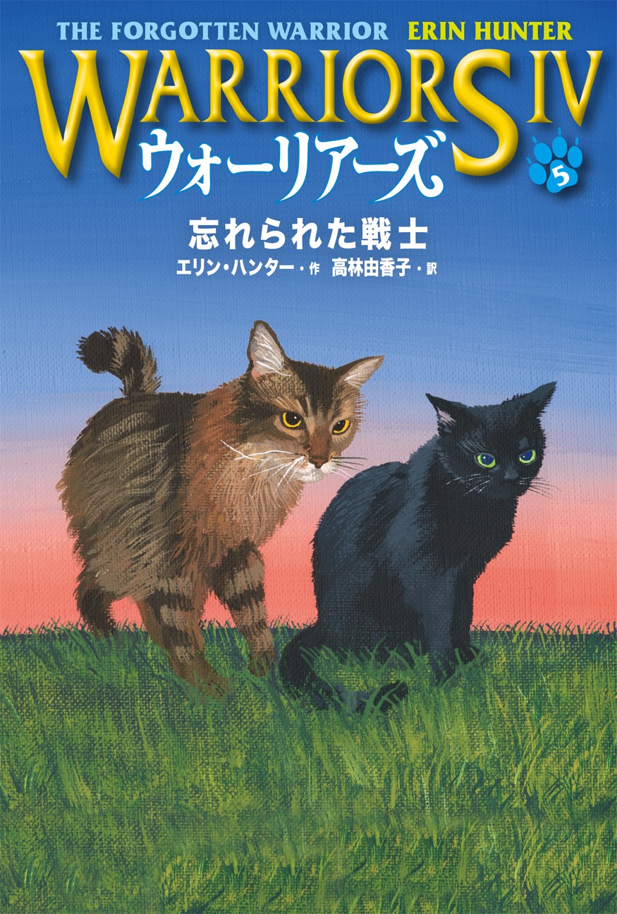 saga of the forgotten warrior saga of the forgotten warrior