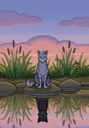 English Language Edition Textless Cover