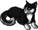 Shaded Moss.star.png (19 KB) StarClan Version