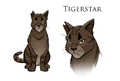 Concept artwork for Tigerstar