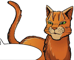 Warrior Cats - Firestar by Fox-Desert ~ Spottedstar