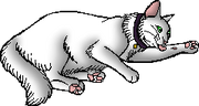 Harveymoon.kittypet