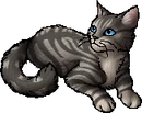 Alternative StarClan Version