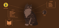 Tigerstar's Warriors website fact sheet