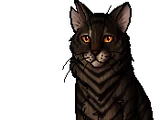 Tigerstar (AVoS)