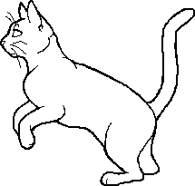 Guess that cat based off the oddly designed Warriors Wiki sprite! :  r/WarriorCats