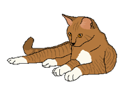 Fogliad'Acqua - versione nel Clan della Stella