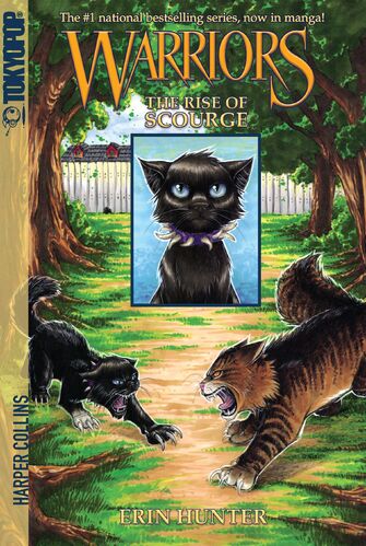 Lost Warrior, Blossomfall, rise Of Scourge, Thistleclaw, warriors The  Prophecies Begin, Into The Wild, Spottedleaf, scourge, erin Hunter,  firestar