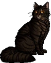 Tigerstar (AVoS).warrior.png (26 KB) Warrior Version