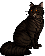 Tigerstar II Tigerheart Warrior Cats Poster for Sale by alicialynne