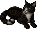StarClan Version