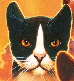 Tallstar, Warriors Wiki