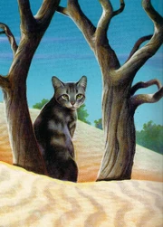 SkyClan relied on Echosong's dreams and visions to guide them to their new home